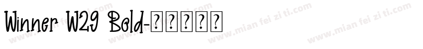 Winner W29 Bold字体转换
